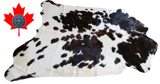 100222- SUPER BIG  SIZE XXXL TRICOLOR  Cowhide Rug - Quebecuir Premium Collection