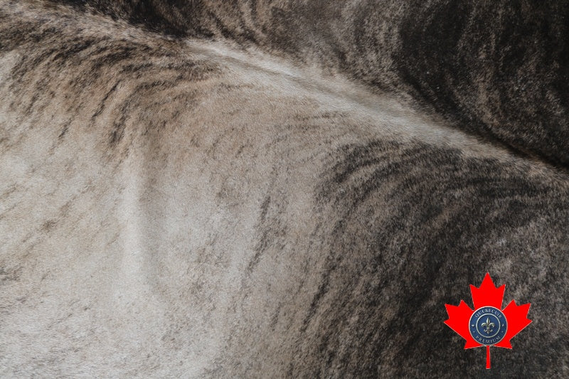 100078 - Brindle Cowhide Rug Tapis peau de vache Brindle - Quebecuir Premium Collection