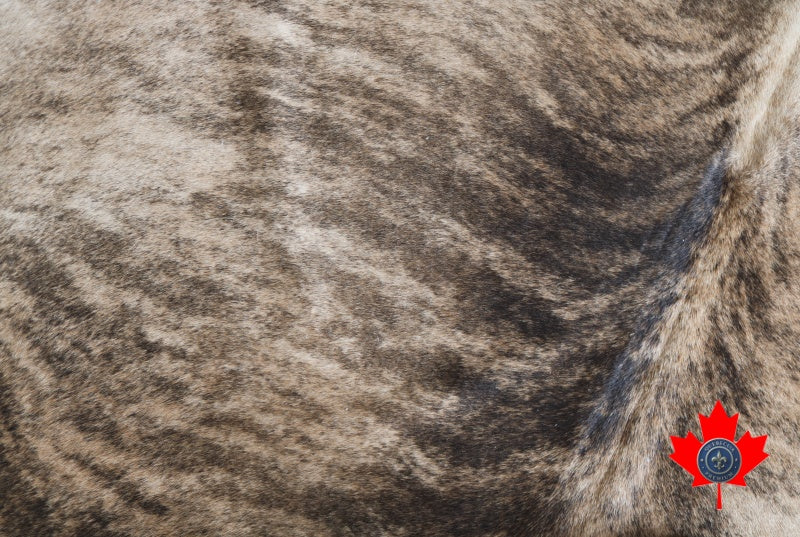 100078 - Brindle Cowhide Rug Tapis peau de vache Brindle - Quebecuir Premium Collection