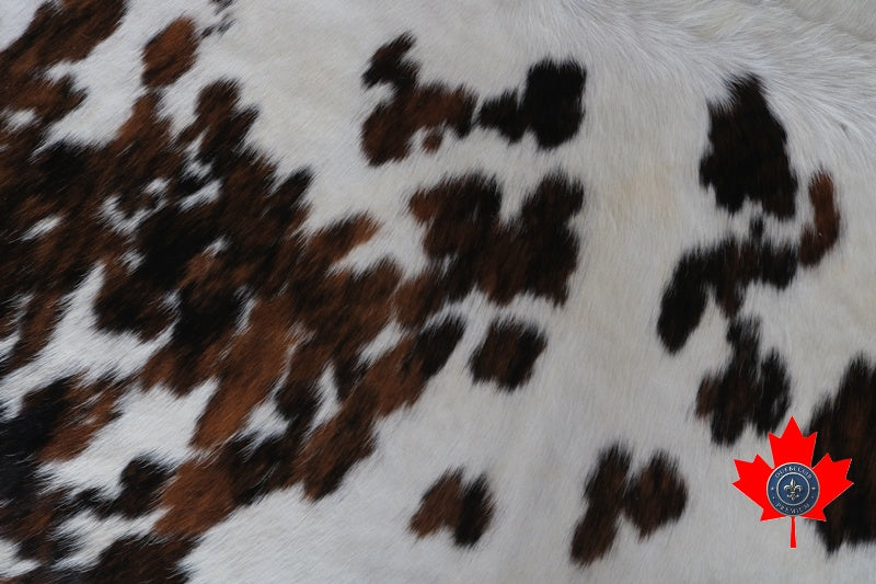 100064 - BIG SIZE Cowhide Rug TRICOLOR XXL - Quebecuir Premium Collection