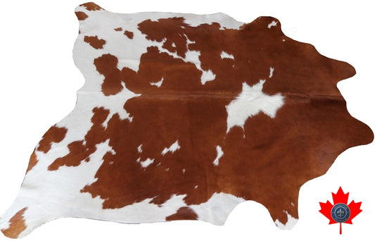 100066 Brown and White Cowhide Rug. Quebecuir Premium Collection