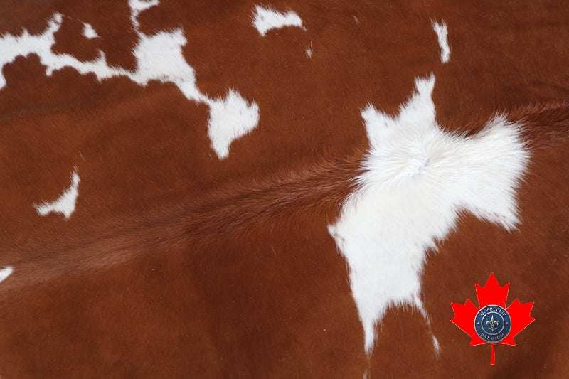 100066 Brown and White Cowhide Rug. Quebecuir Premium Collection