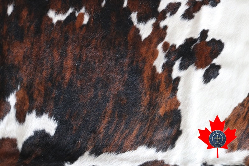 100069- SUPER BIG Tricolor Cowhide Rug SIZE XXXL - Quebecuir Premium Collection