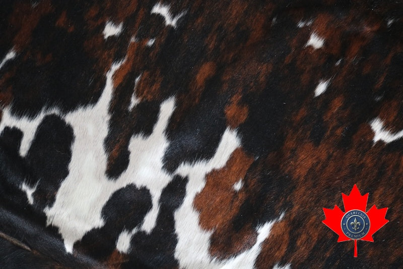100069- SUPER BIG Tricolor Cowhide Rug SIZE XXXL - Quebecuir Premium Collection