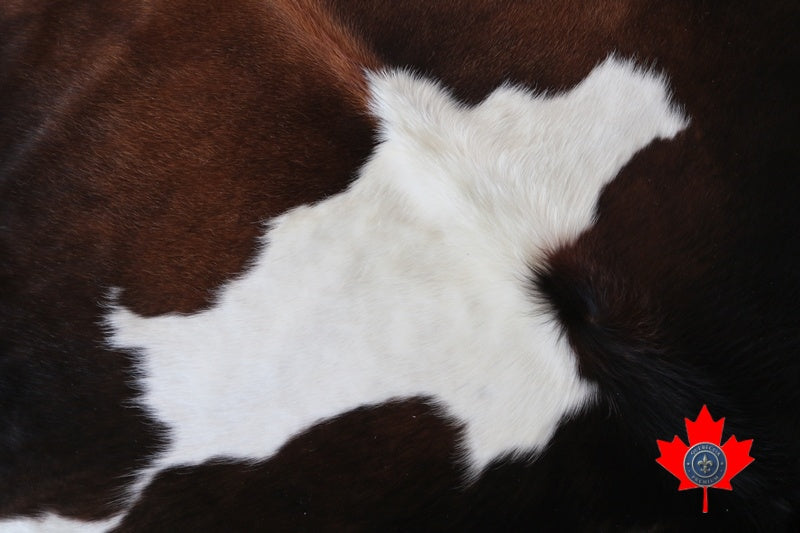 100077 Tricolor Cowhide Rug Tapis peau de vache. Quebecuir Premium Collection.