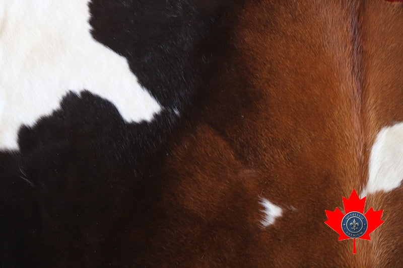 100077 Tricolor Cowhide Rug Tapis peau de vache. Quebecuir Premium Collection.