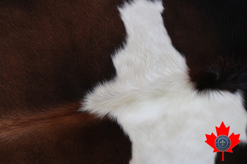 100077 Tricolor Cowhide Rug Tapis peau de vache. Quebecuir Premium Collection.